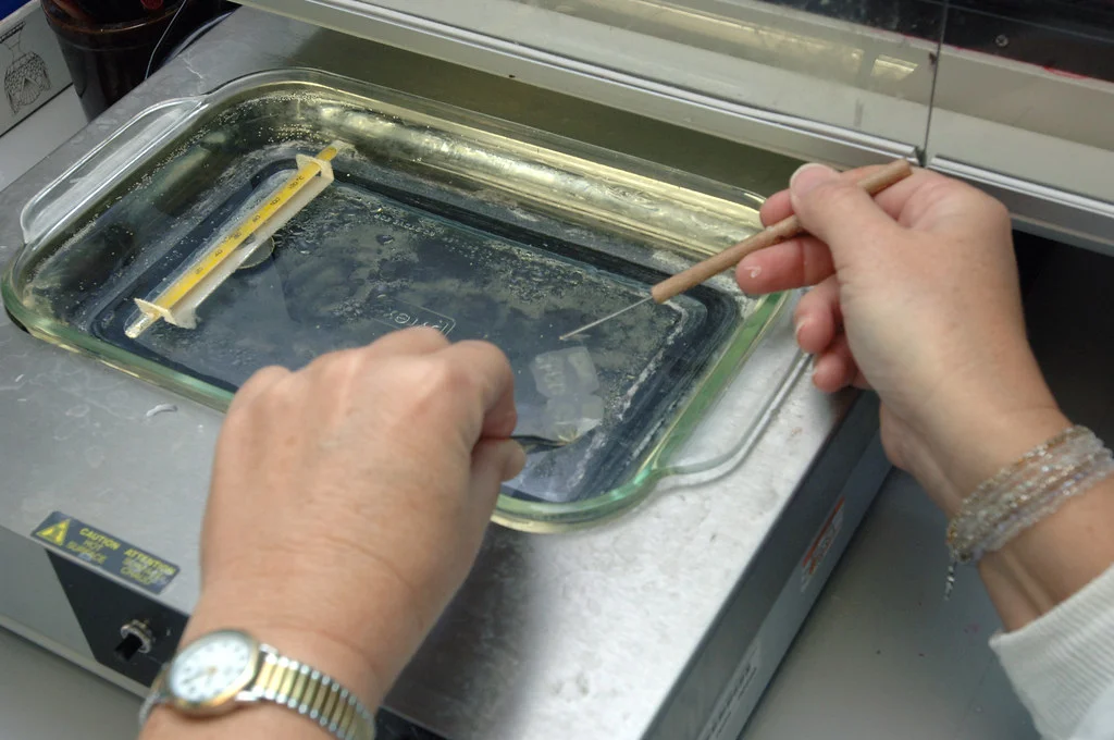 조직검사학 · Tissue Processing 10.jpg