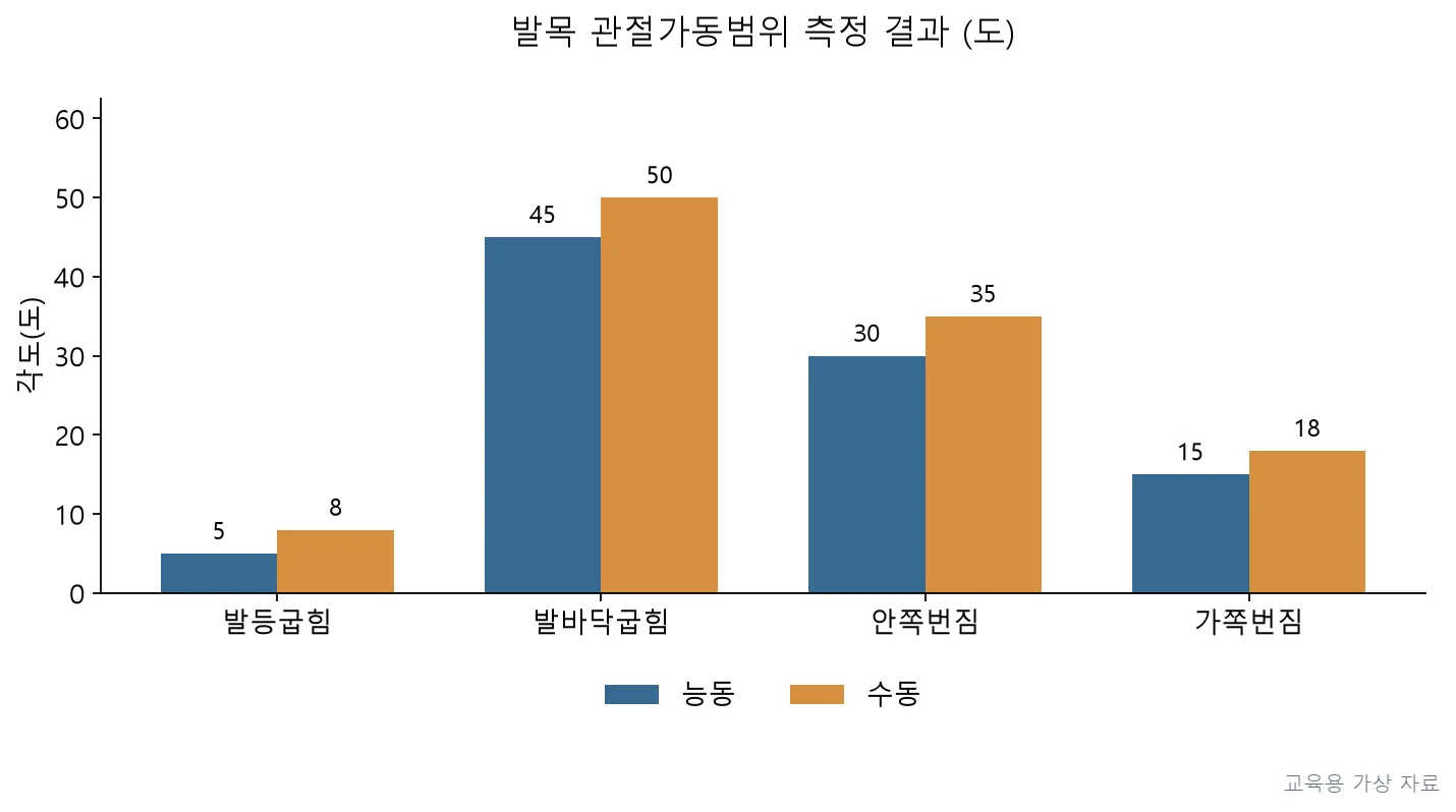 실기시험 · PT2P-R3-Q016;발등굽힘 능동(5°)·수동(8°) 각도가 정상범위(0~20°)보다 현저히 낮은 반면, 나머지 움직임(발바닥굽힘, 안쪽돌림, 바깥돌림)은 정상범위 내에 있다. (교육용 도판)