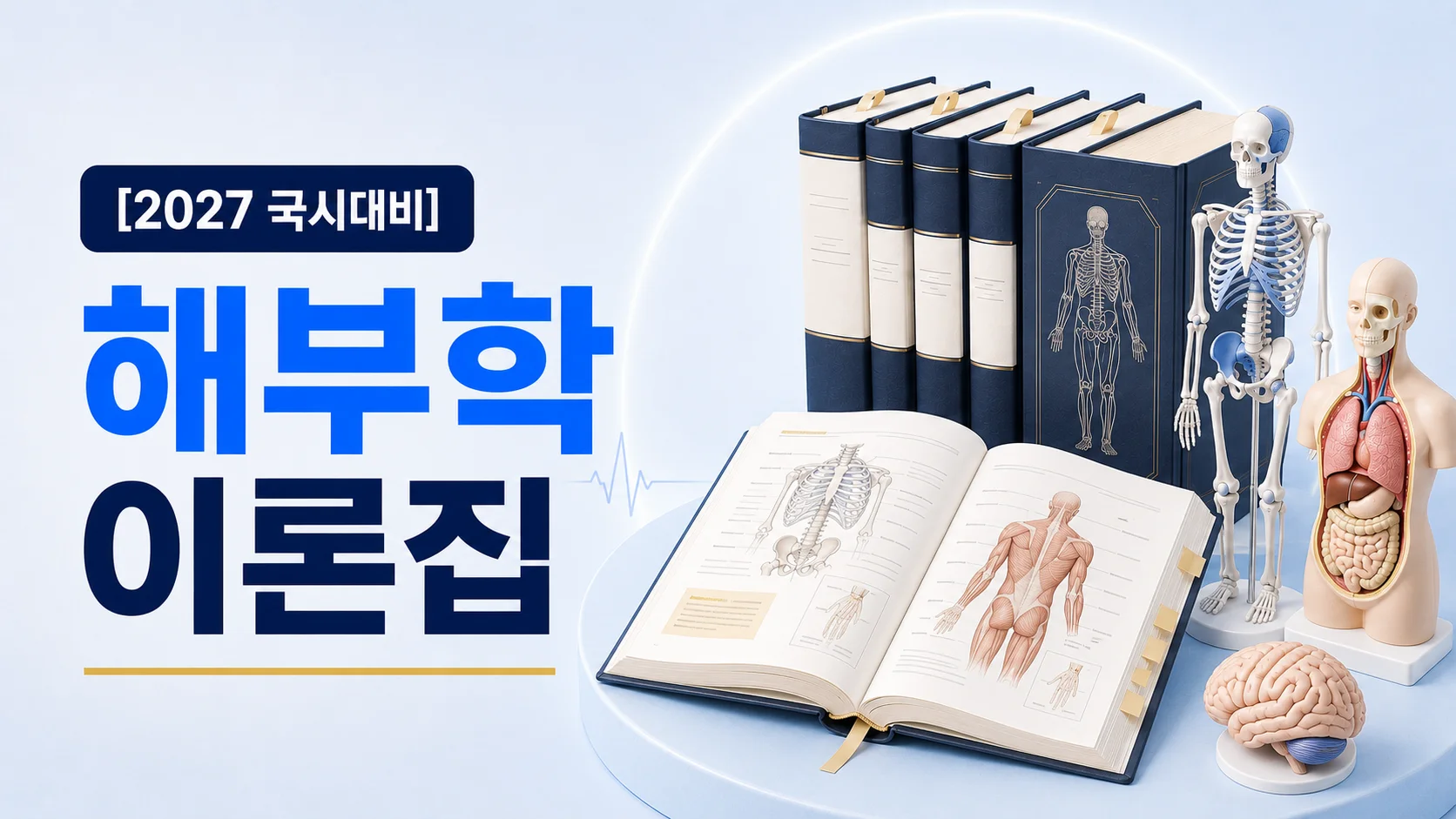 해부학 이론집