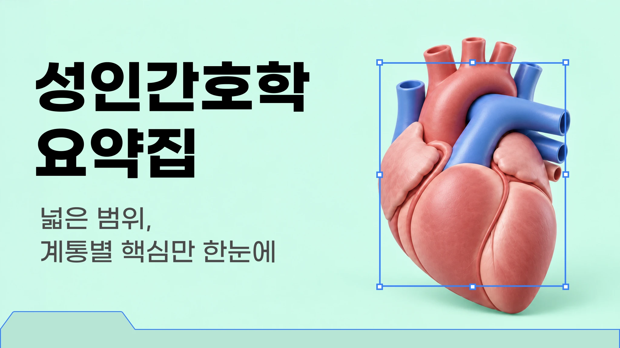 [신판] [간호사 국가고시 대비] 성인간호학 요약집