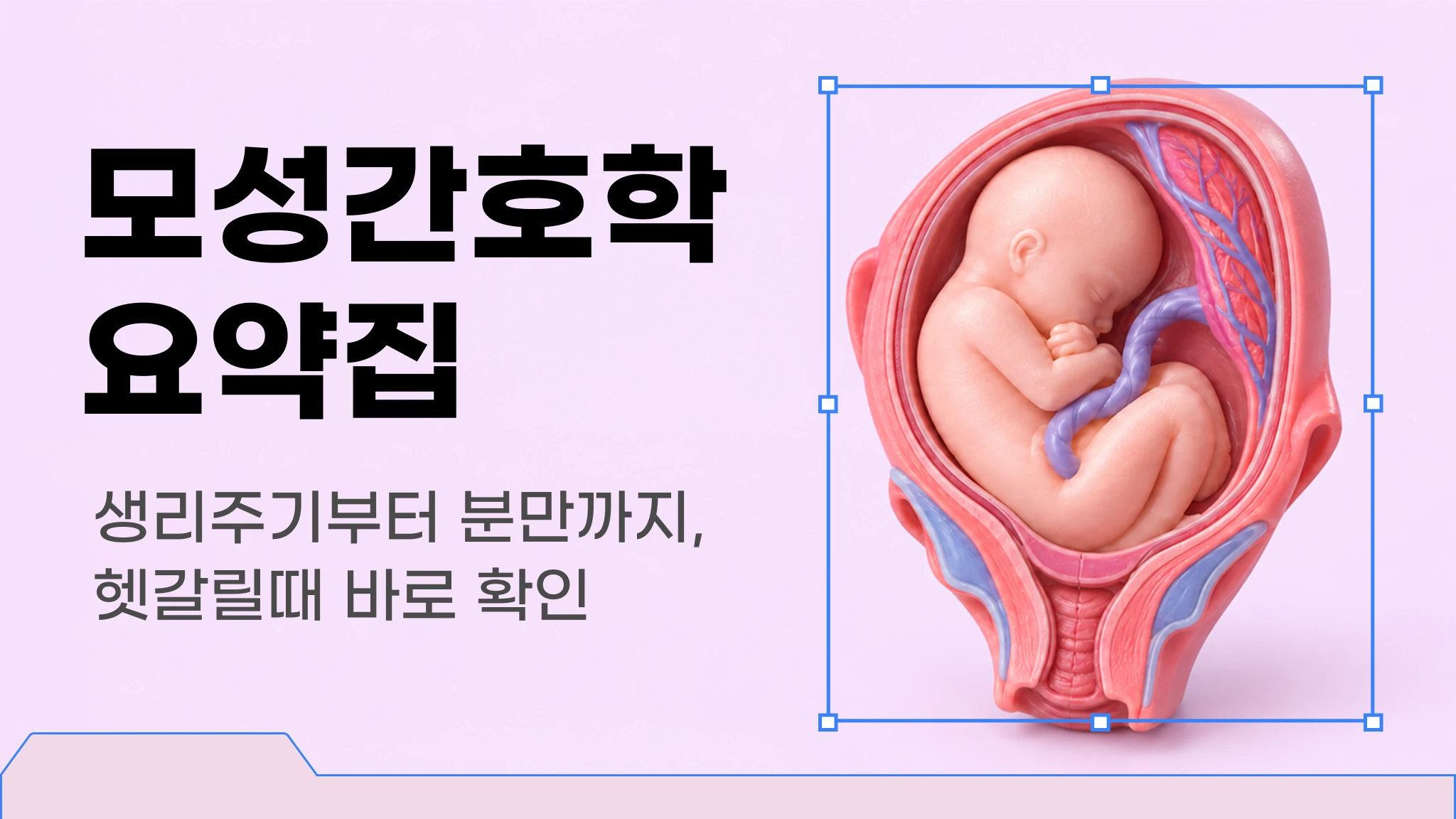 [신판] [간호사 국가고시 대비] 여성간호학 요약집