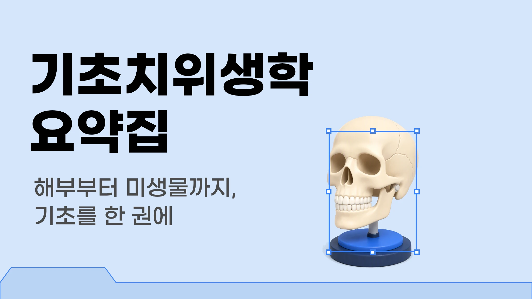 기초치위생학