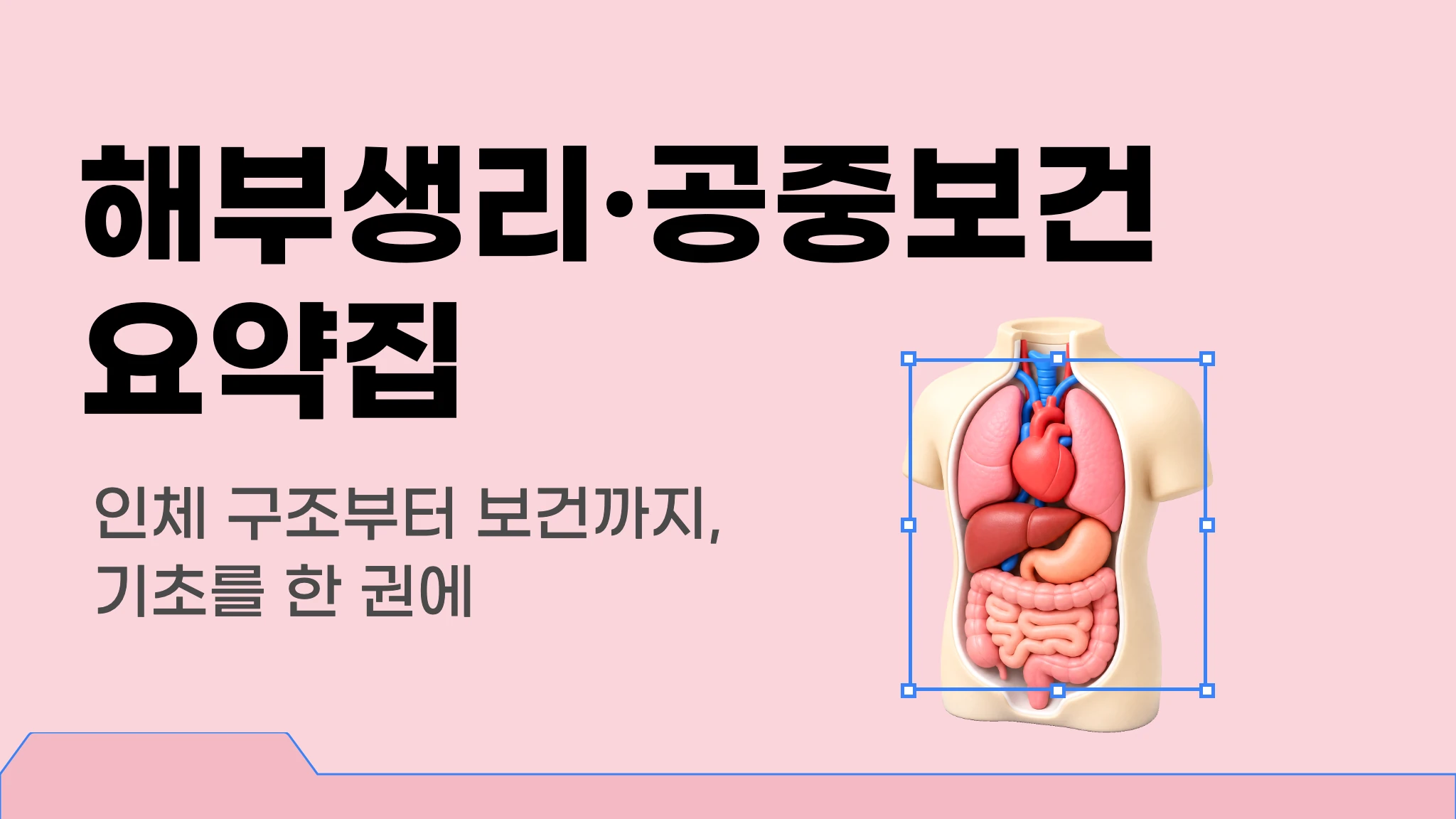 해부생리학·공중보건학 요약집
