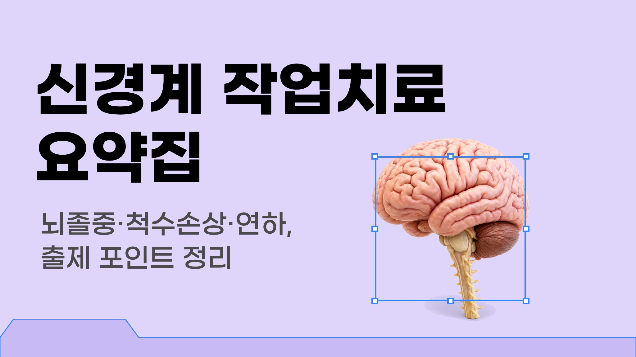 신경계 작업치료 요약집