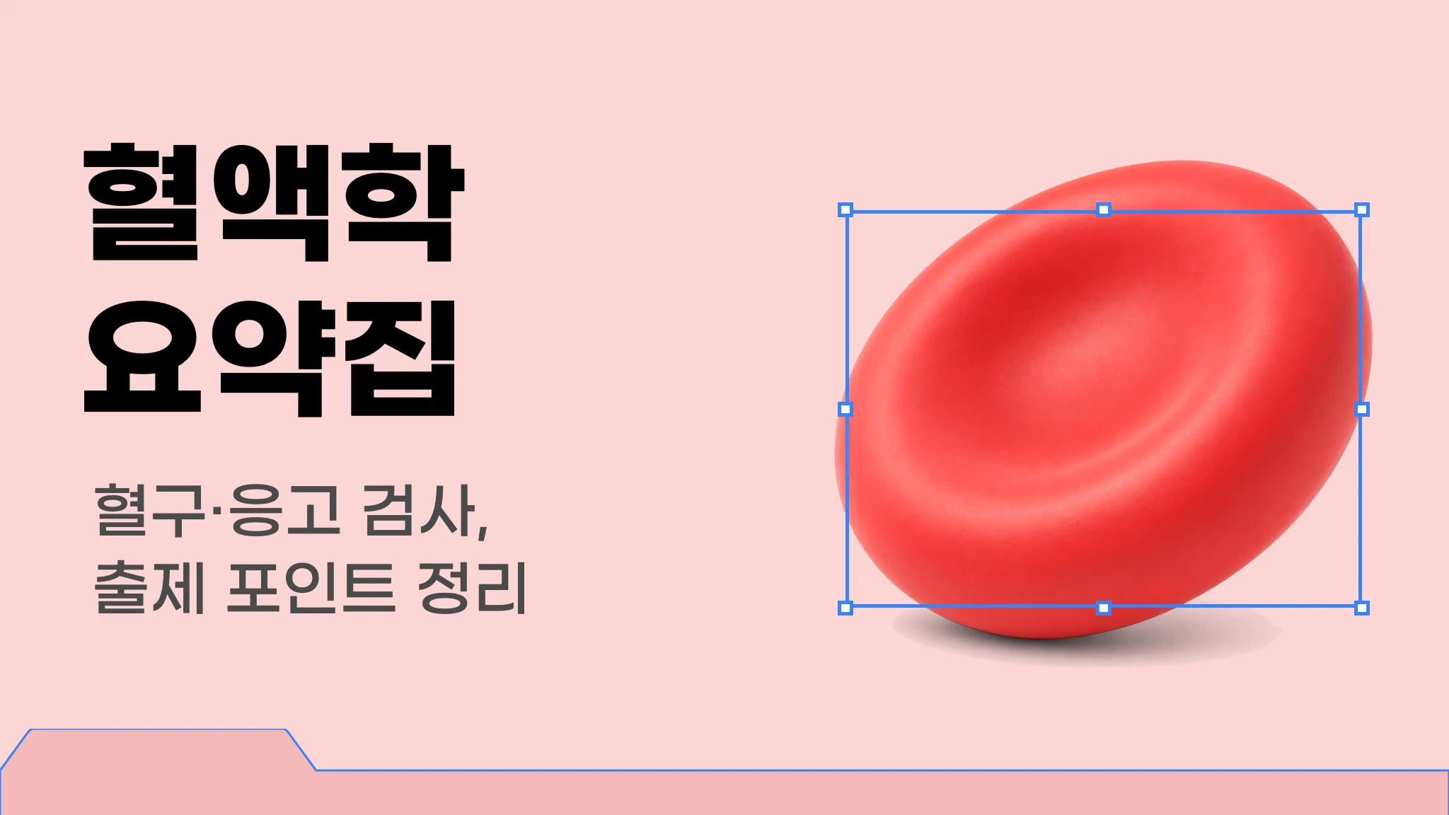 [국시 핵심요약] 출제 포인트로 정리하는 혈액학
