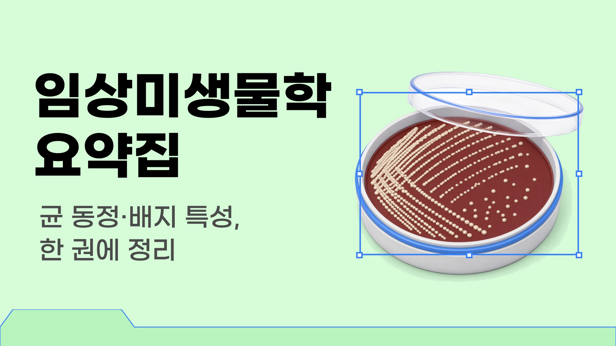 [국시 핵심요약] 출제 포인트로 정리하는 임상미생물학