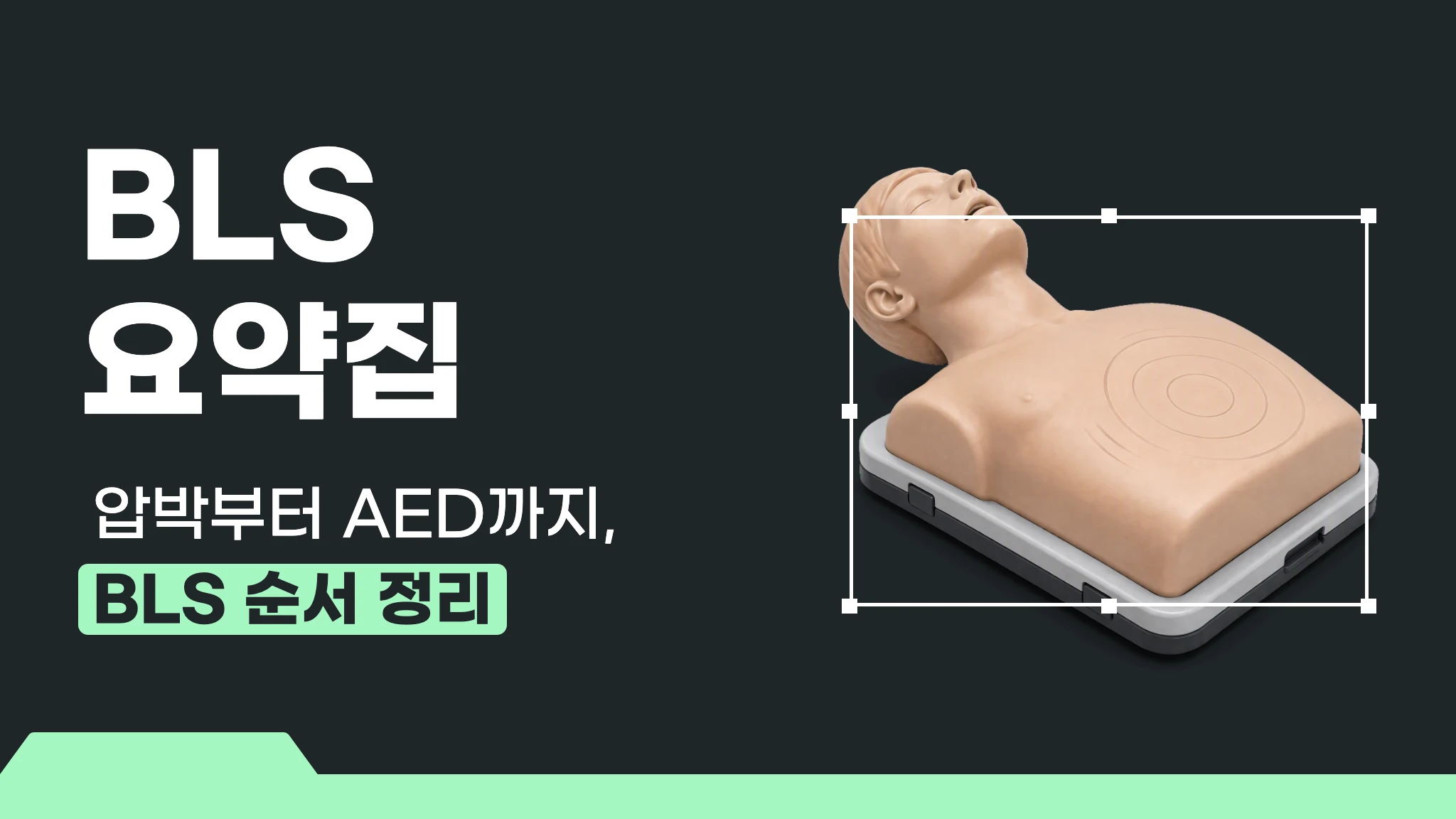 BLS 요약집