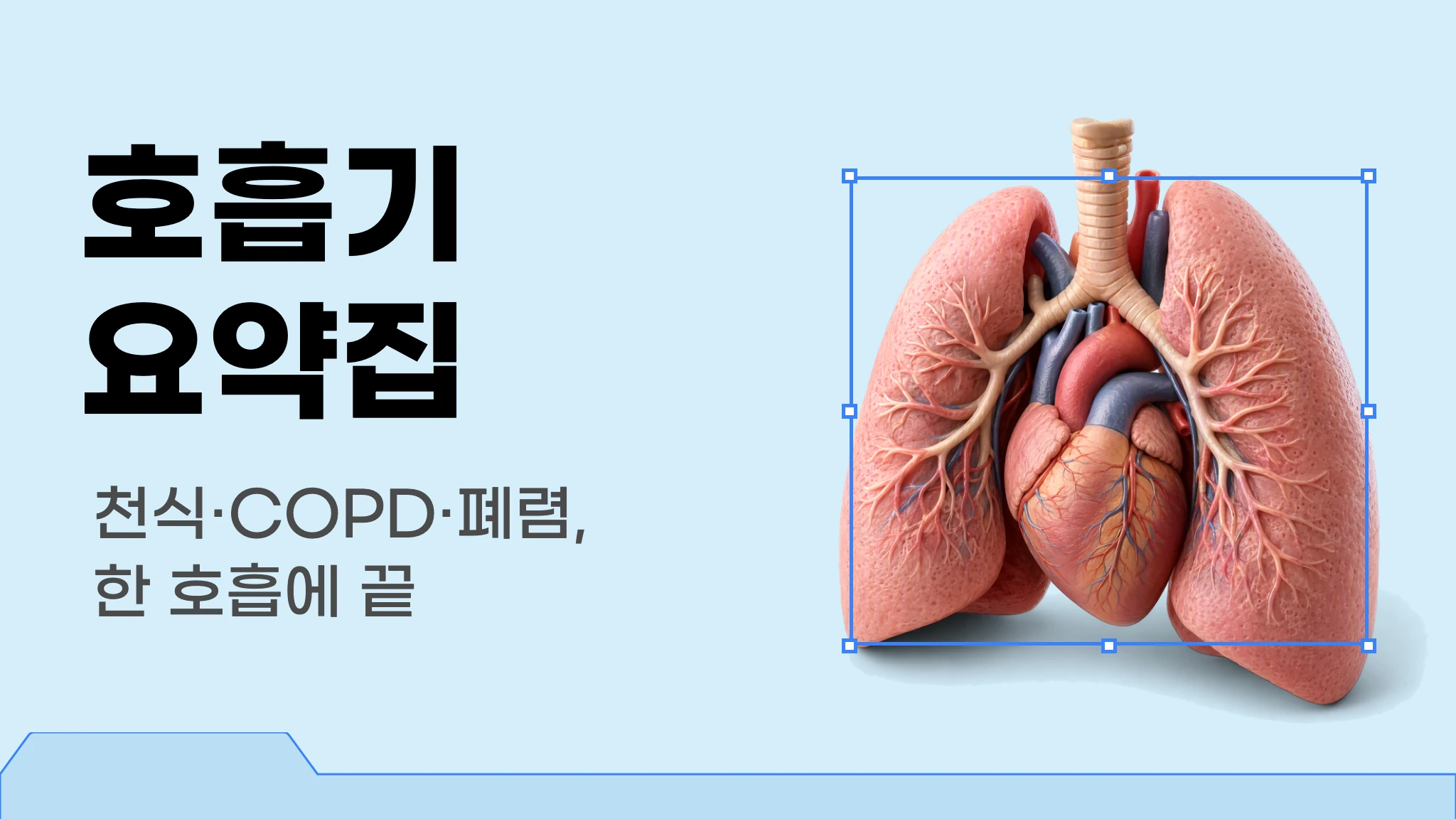 메르시 의대 내신 요약 이론집 [호흡기]