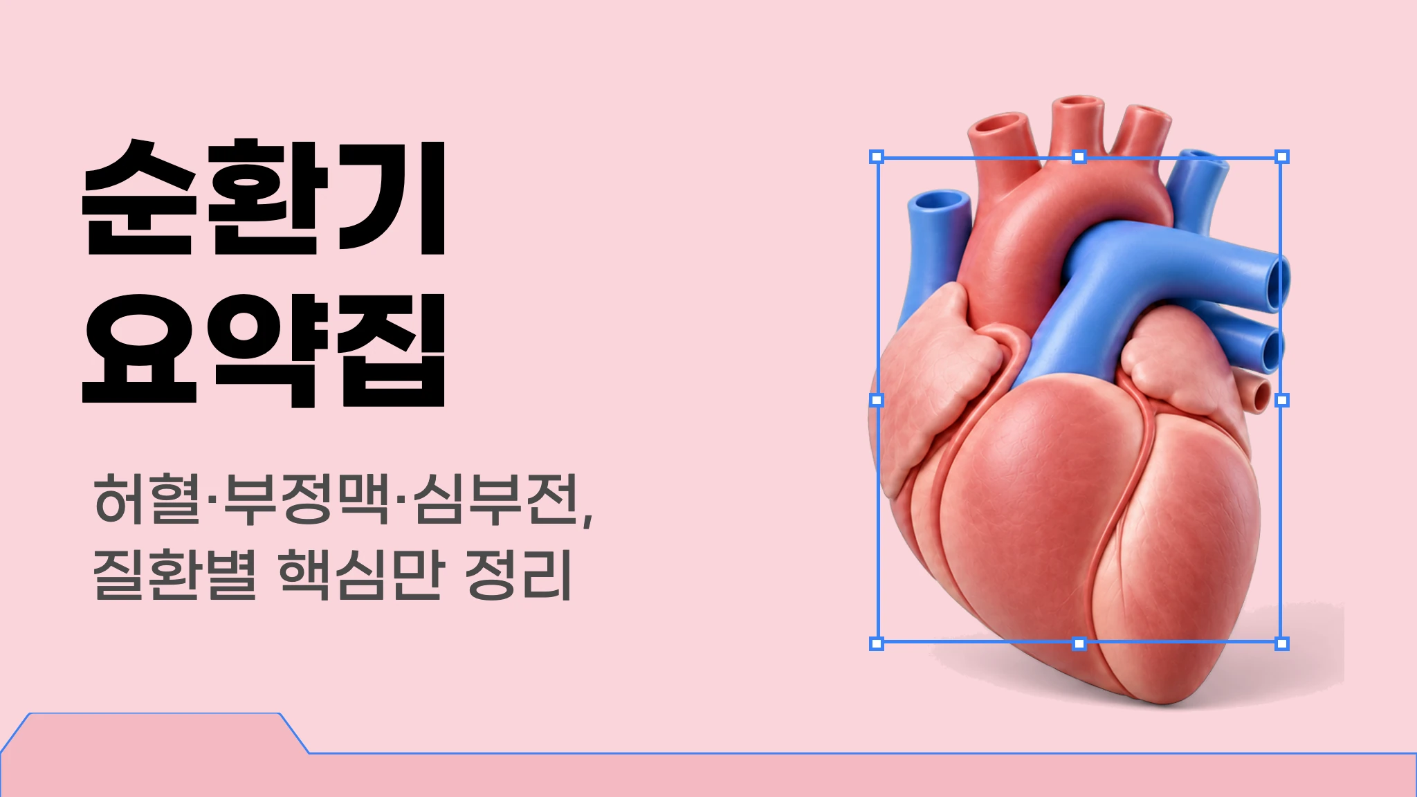 메르시 의대 내신 요약 이론집 [순환기]