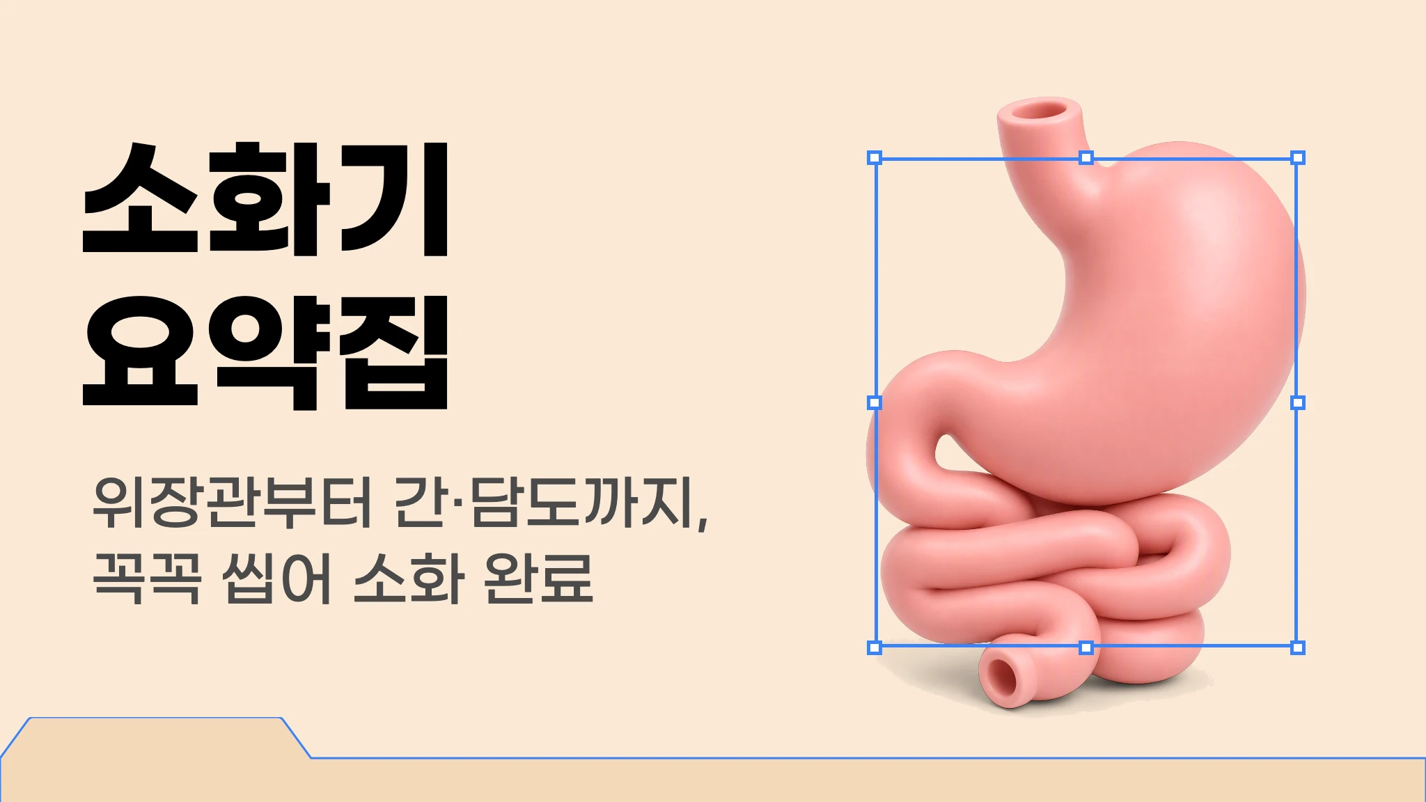 메르시 의대 내신 요약 이론집 [소화기]