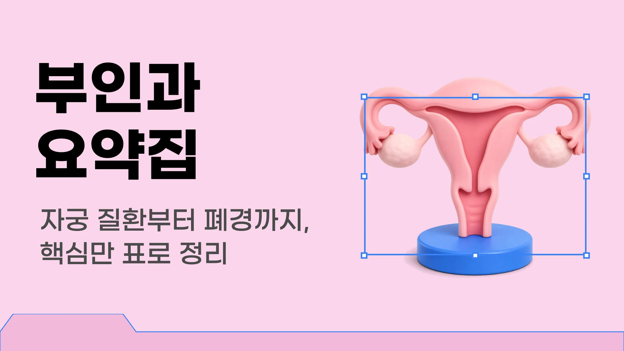 메르시 의대 내신 요약 이론집 [부인과]