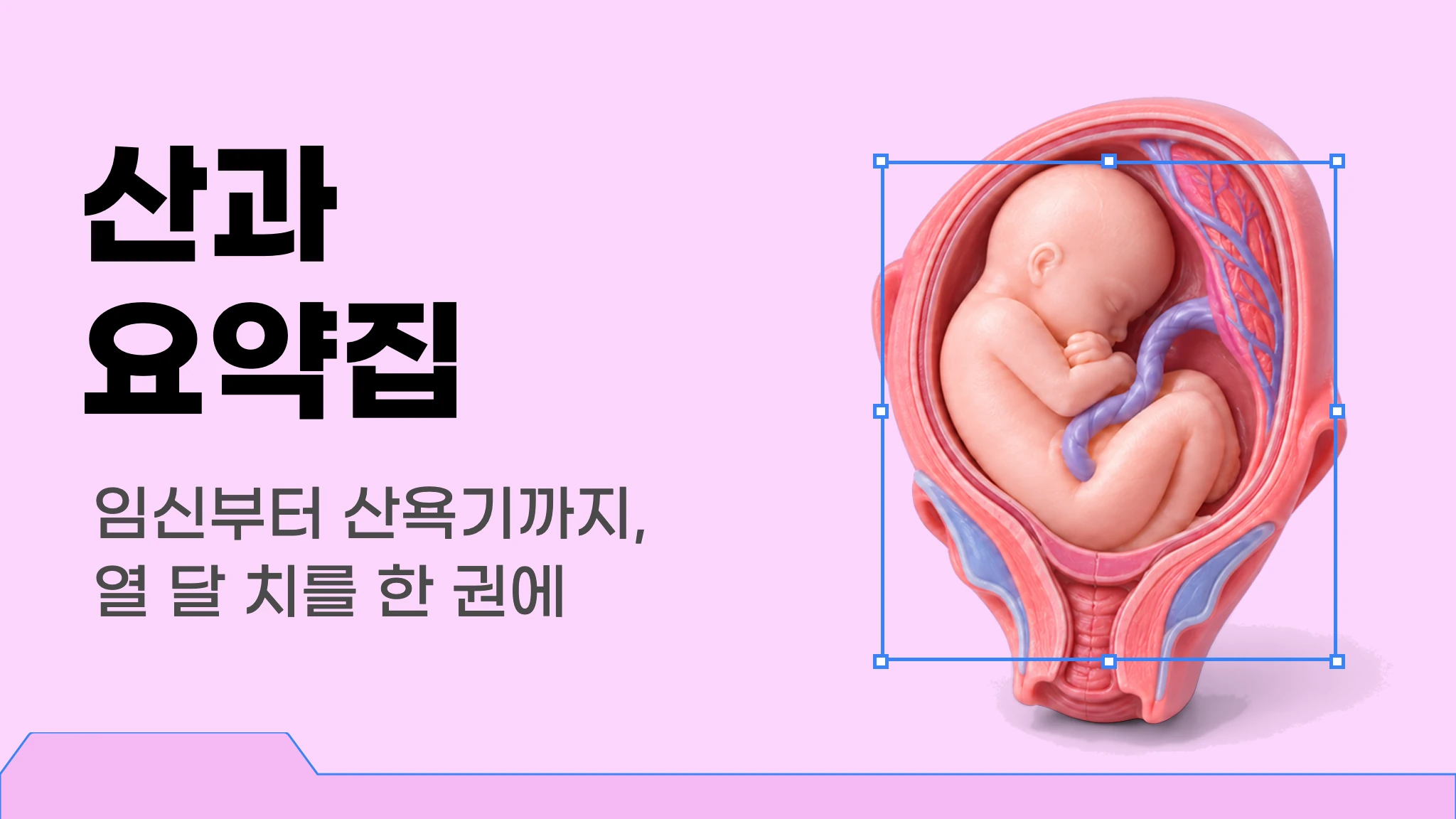 메르시 의대 내신 요약 이론집 [산과]