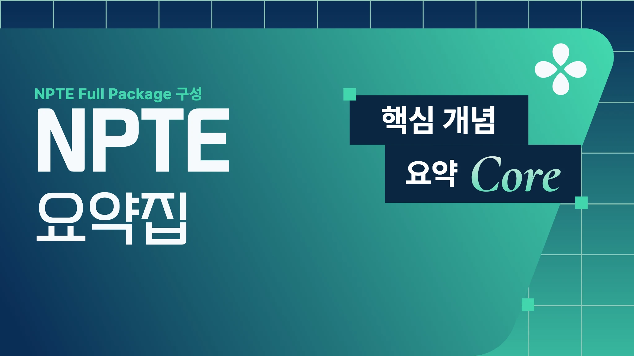 [미국 물리치료사] NPTE 시험 요약집