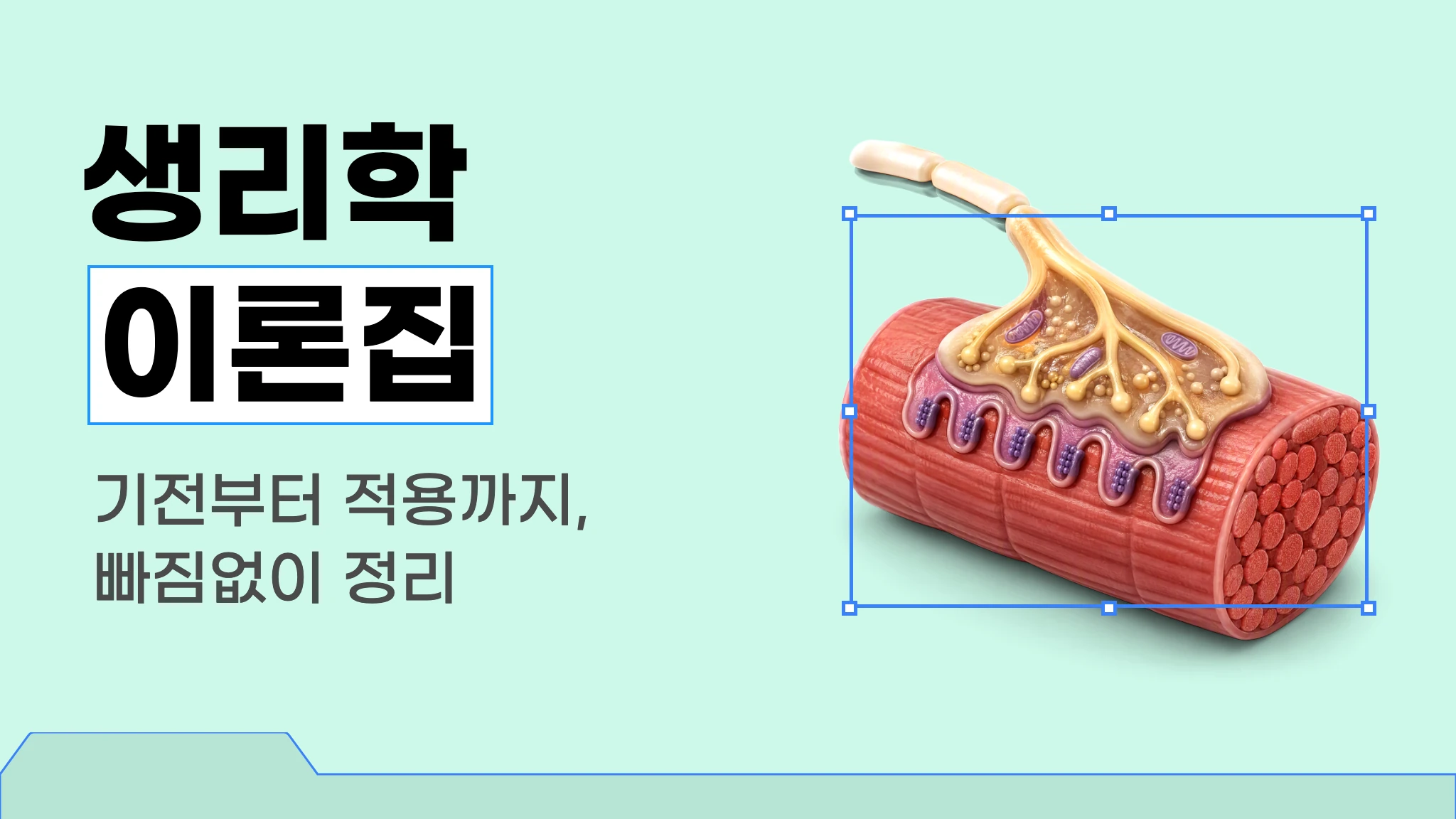 생리학 이론집