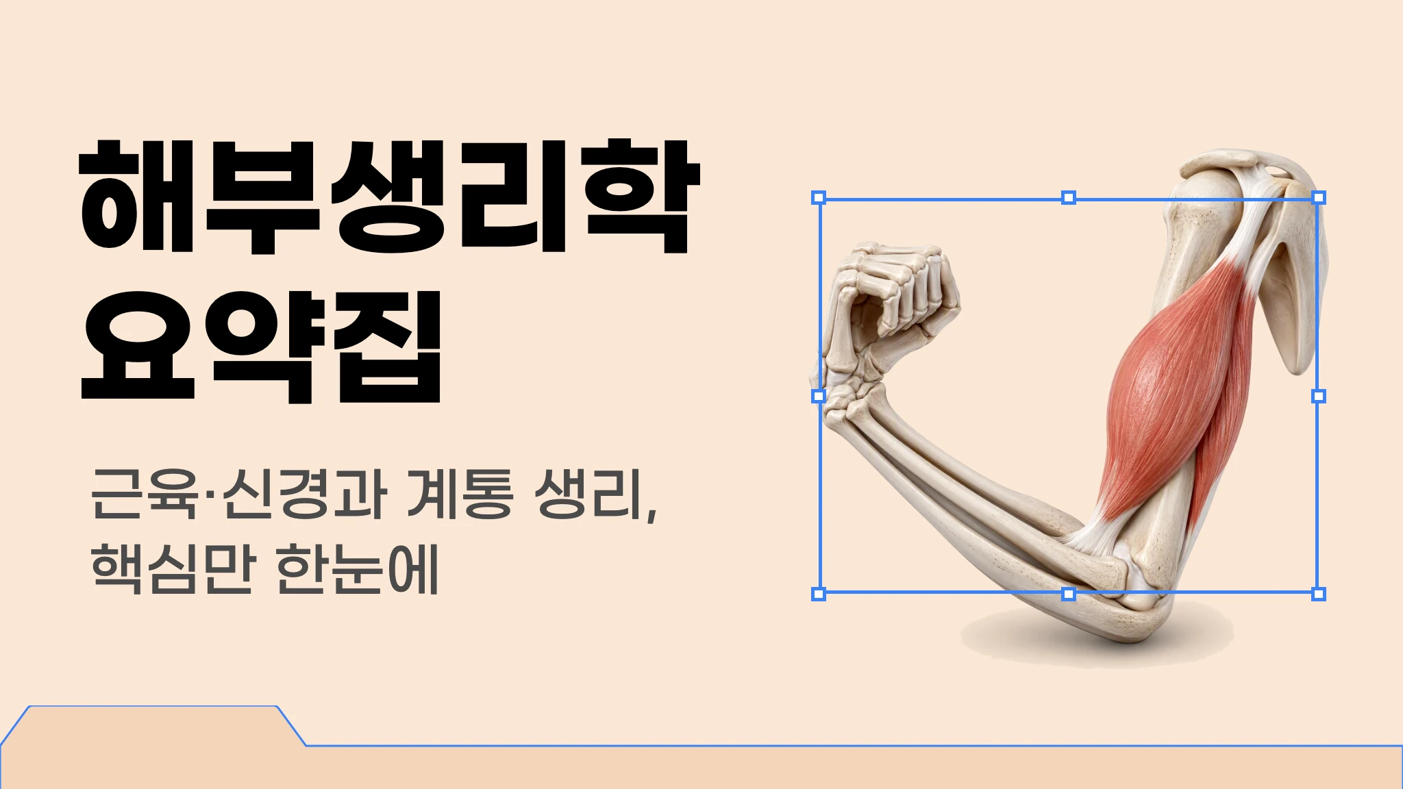 [신판] [물리치료사 국가고시 대비] 해부생리학 요약집