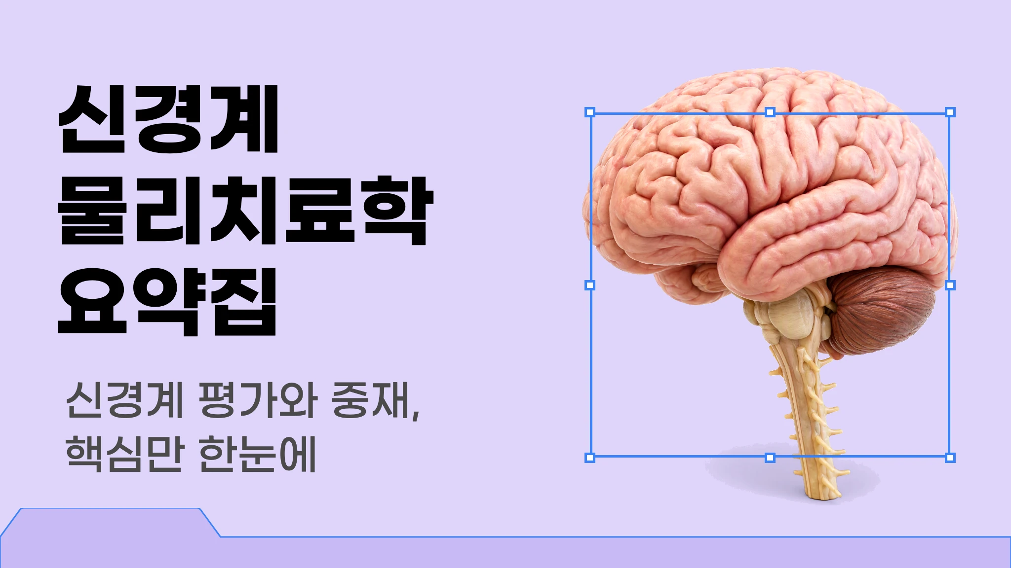[신판] [물리치료사 국가고시 대비] 신경계 물리치료학 요약집