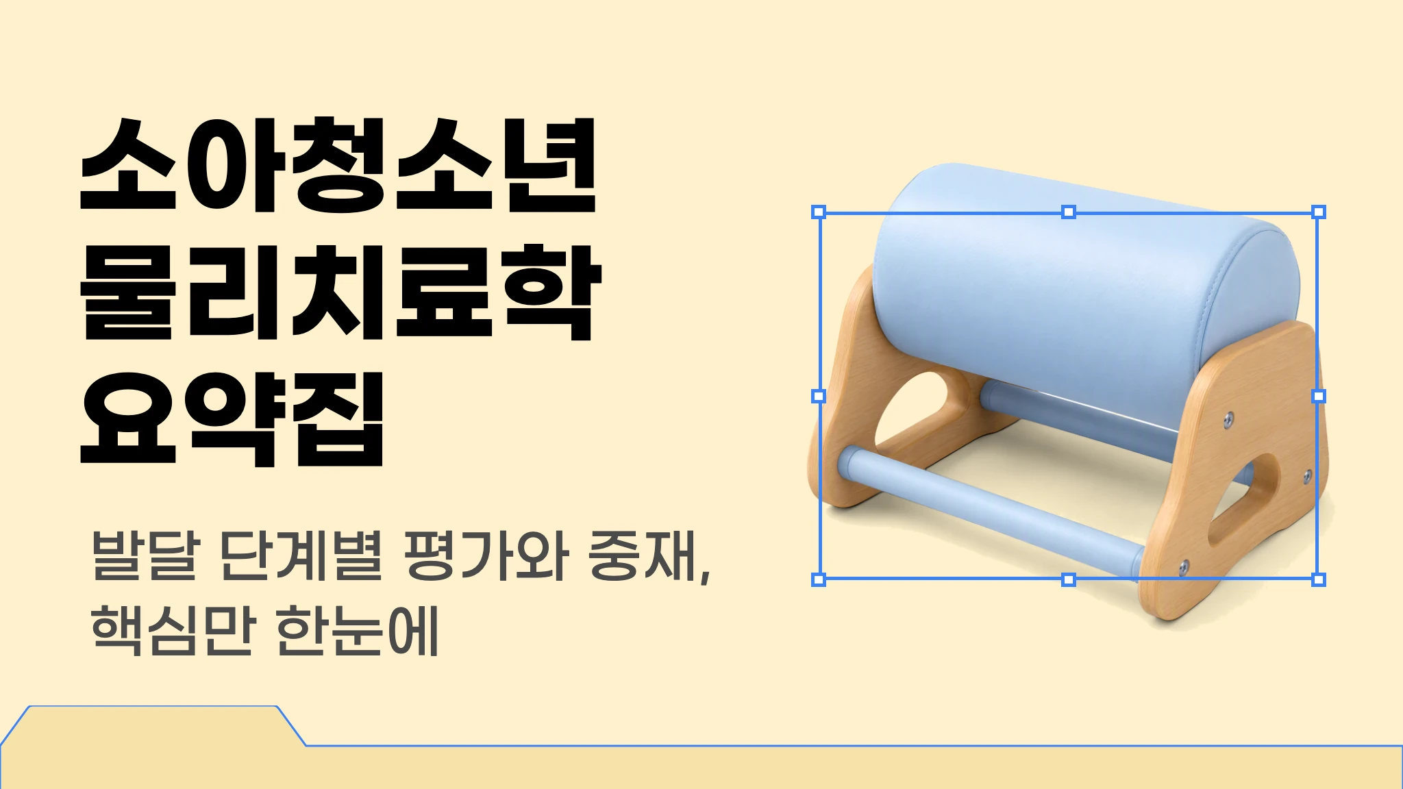 [구판] [물리치료사 국가고시 대비] 소아청소년 물리치료학 요약집