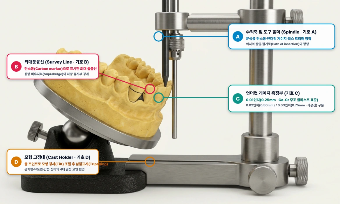 치과용 서베이어(Dental Surveyor)를 이용한 지대치 서베잉 및 언더컷 분석 (A ~ D)