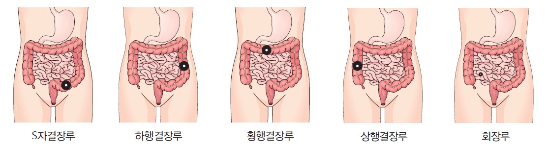 1fa600ce930ea5aad9bec68c2a337c4b_1706489512_5635.jpg 1fa600ce930ea5aad9bec68c2a337c4b_1706489512_5635.jpg