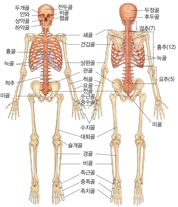 26f843f20330ffe7c7bea95aa42b0e21_1706605611_5532.JPG
