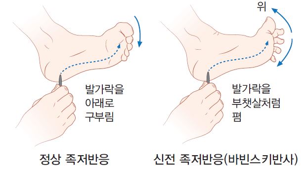 26f843f20330ffe7c7bea95aa42b0e21_1707183086_5833.JPG