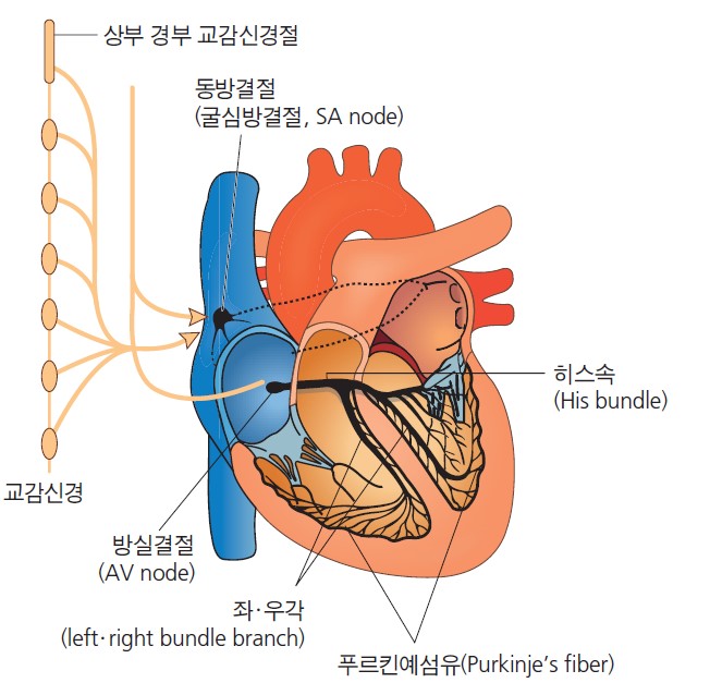 6f03ff49a77defa19f2a42c0a3d7c29d_1706769281_2045.jpg
