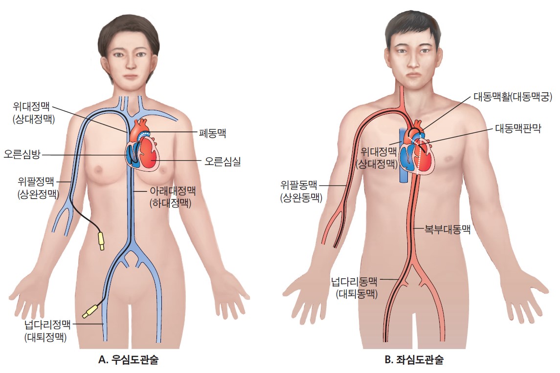 6f03ff49a77defa19f2a42c0a3d7c29d_1706772167_7132.jpg 6f03ff49a77defa19f2a42c0a3d7c29d_1706772167_7132.jpg