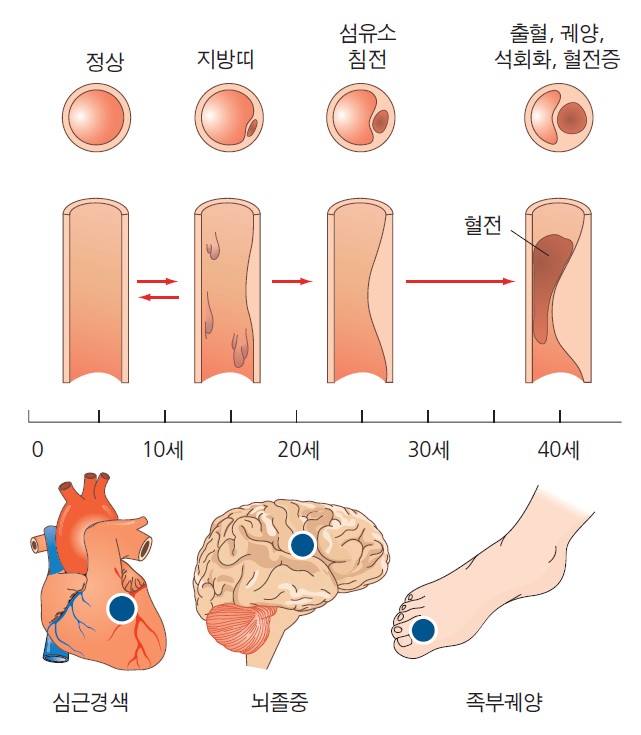 b02a55a22eebb110f7449d3b0c82e8b0_1706838962_7452.jpg b02a55a22eebb110f7449d3b0c82e8b0_1706838962_7452.jpg