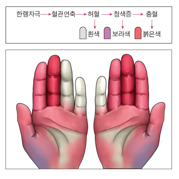 b02a55a22eebb110f7449d3b0c82e8b0_1706839036_9421.jpg b02a55a22eebb110f7449d3b0c82e8b0_1706839036_9421.jpg