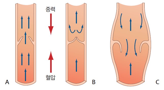 b02a55a22eebb110f7449d3b0c82e8b0_1706839150_7155.jpg b02a55a22eebb110f7449d3b0c82e8b0_1706839150_7155.jpg