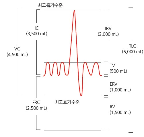 b02a55a22eebb110f7449d3b0c82e8b0_1706866185_9238.jpg