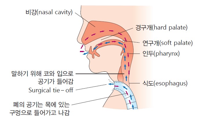 ce68ecd983828784353f4025ea7716cd_1707107943_961.jpg ce68ecd983828784353f4025ea7716cd_1707107943_961.jpg
