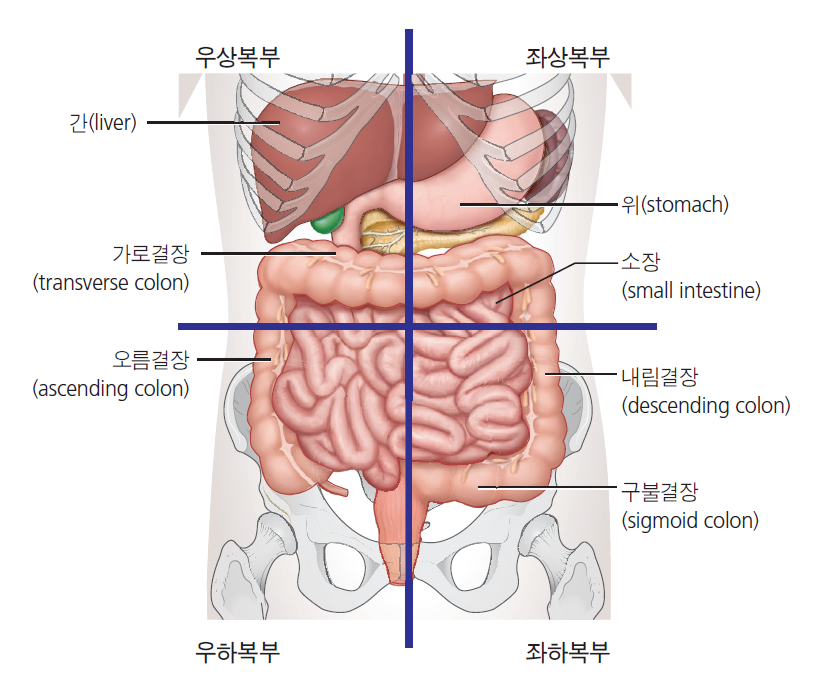 debf180358059ce7232c414937363782_1710405240_4451.png