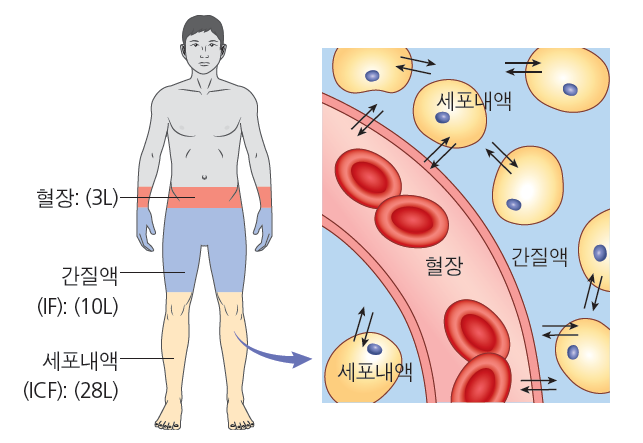 debf180358059ce7232c414937363782_1710488210_5636.png debf180358059ce7232c414937363782_1710488210_5636.png