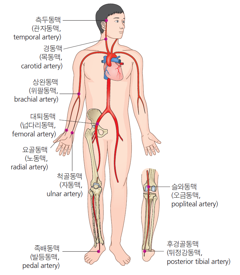 debf180358059ce7232c414937363782_1710808545_3532.png debf180358059ce7232c414937363782_1710808545_3532.png