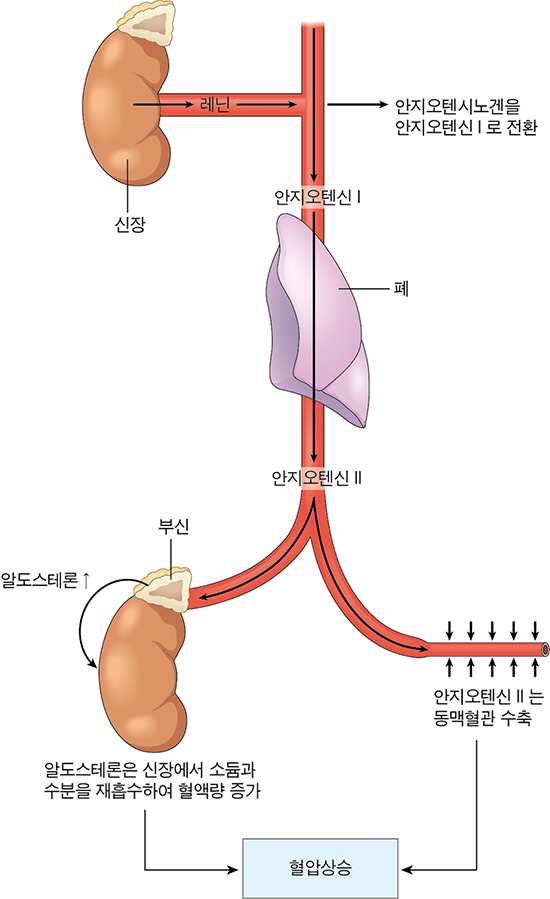 a746d4fe222c8f6e70e45750ed975e12_1711953982_8749.jpg a746d4fe222c8f6e70e45750ed975e12_1711953982_8749.jpg