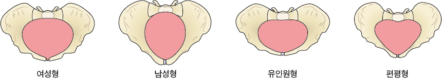 a746d4fe222c8f6e70e45750ed975e12_1712645049_4148.jpg a746d4fe222c8f6e70e45750ed975e12_1712645049_4148.jpg