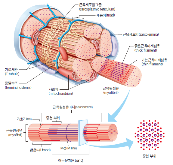 3dfebb6815ecbc25a73199b2e8616bec_1715237037_819.png 3dfebb6815ecbc25a73199b2e8616bec_1715237037_819.png