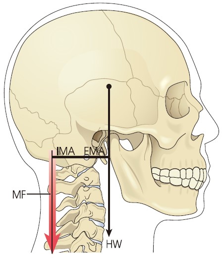 9a20a38ccf793e71c62d2d61d7825777_1715304066_5079.jpg