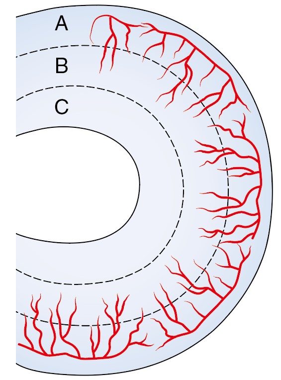 9a20a38ccf793e71c62d2d61d7825777_1715583058_7691.jpg