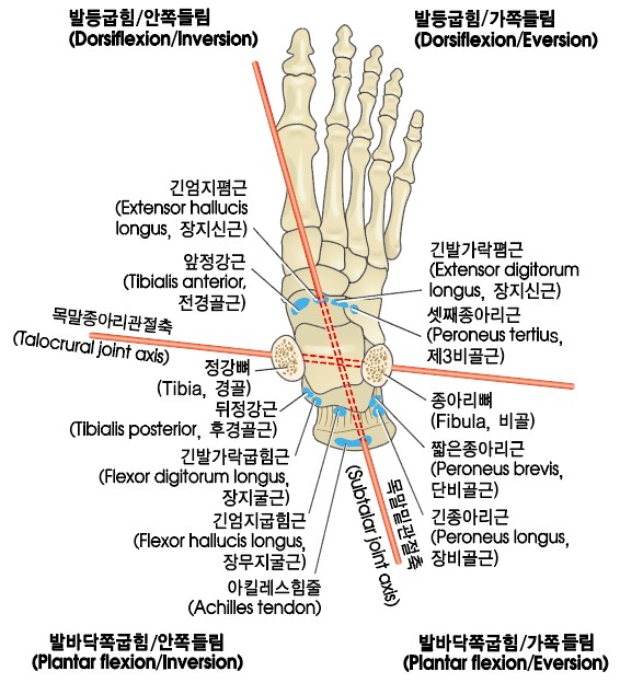 9a20a38ccf793e71c62d2d61d7825777_1715586524_8357.jpg