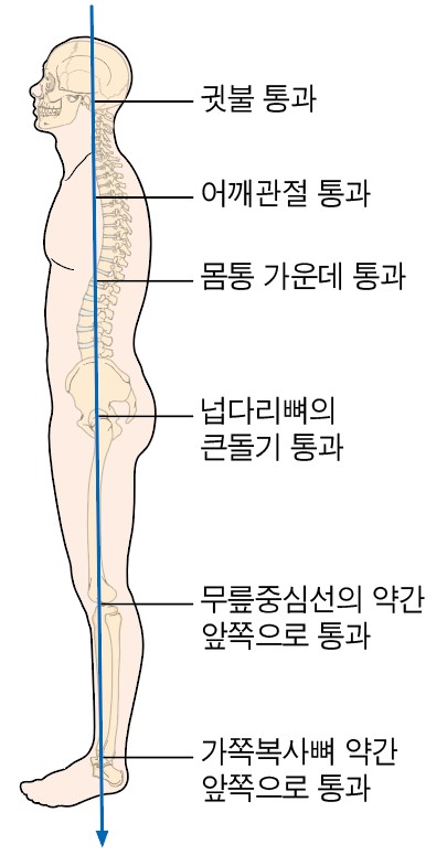 9a20a38ccf793e71c62d2d61d7825777_1715587645_2623.jpg