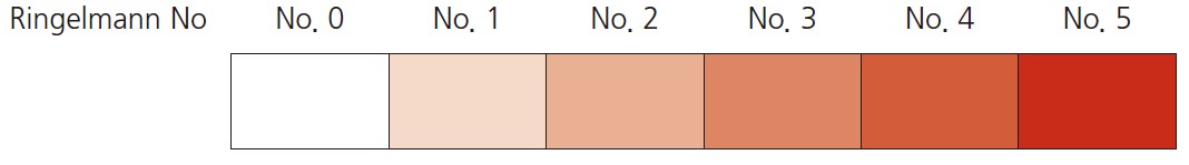 9a20a38ccf793e71c62d2d61d7825777_1715820294_2731.jpg 9a20a38ccf793e71c62d2d61d7825777_1715820294_2731.jpg