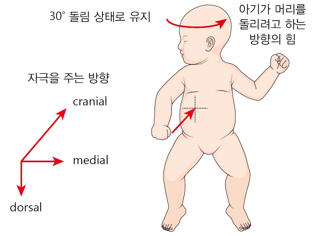 9a20a38ccf793e71c62d2d61d7825777_1716181463_443.jpg