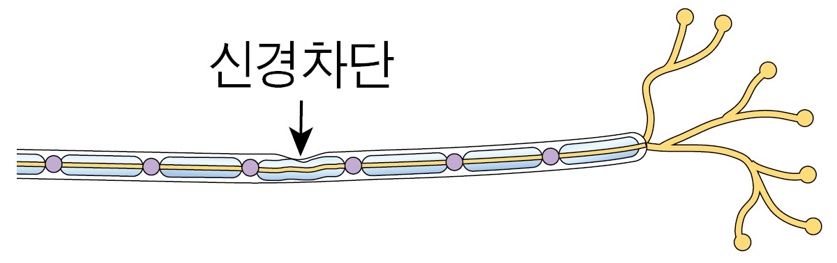 9a20a38ccf793e71c62d2d61d7825777_1716194988_7373.jpg