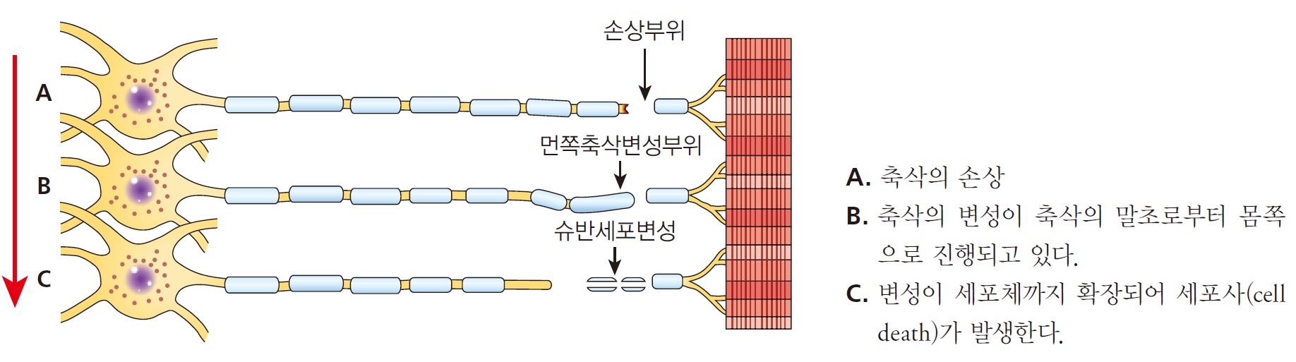 9a20a38ccf793e71c62d2d61d7825777_1716250334_7634.jpg