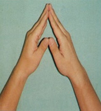 9a20a38ccf793e71c62d2d61d7825777_1716253512_8308.jpg