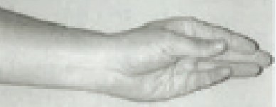 9a20a38ccf793e71c62d2d61d7825777_1716253572_0794.jpg