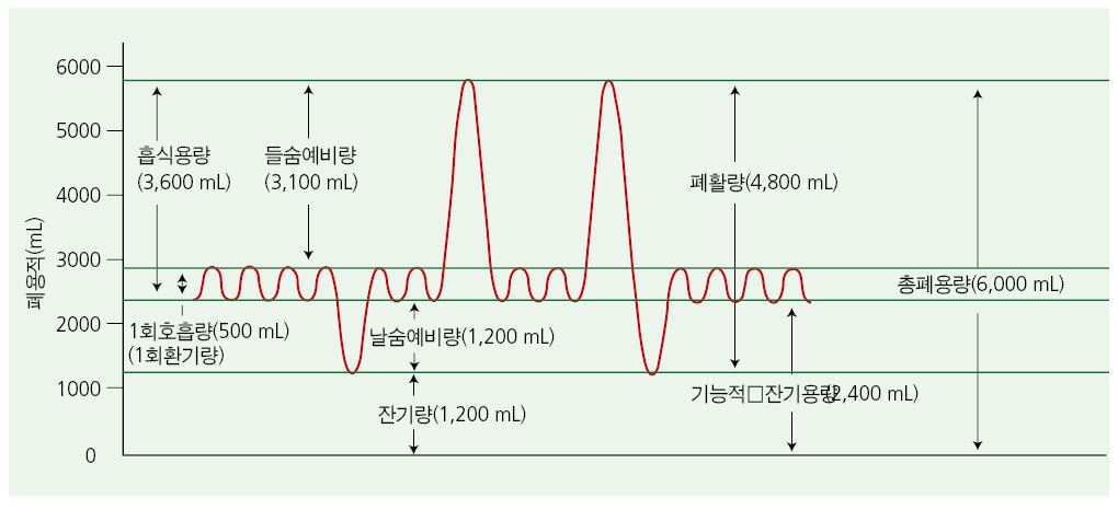 b465aad5018c55d0068628177576c60b_1715907227_1484.JPG