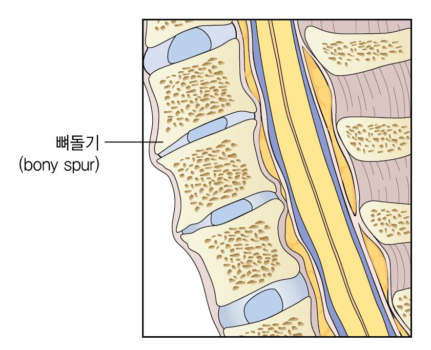 b465aad5018c55d0068628177576c60b_1716168450_2796.JPG